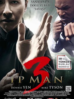 Ip Man 3