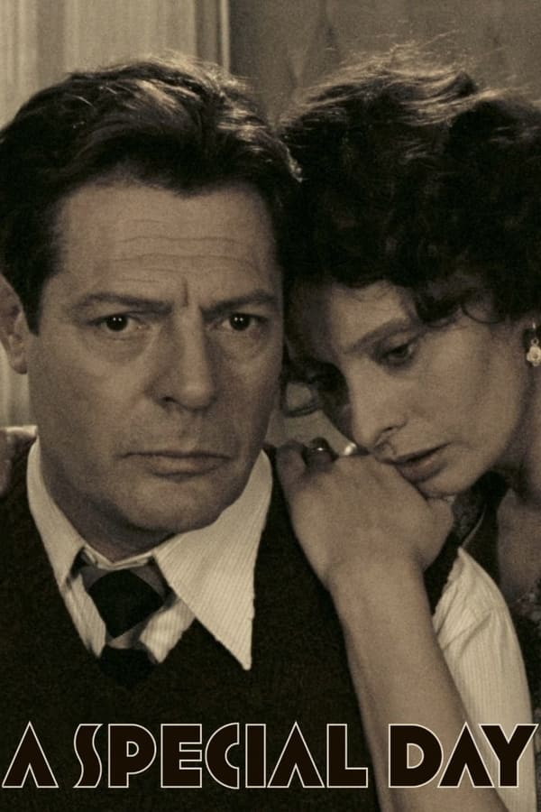 Özel Bir Gün